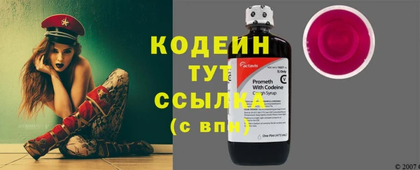 прущая мука Вяземский