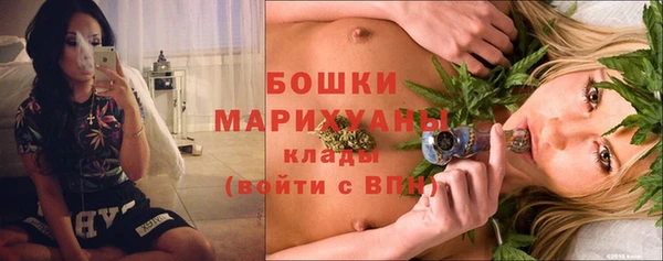PSILOCYBIN Вязьма