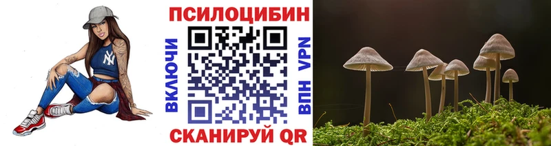 Купить закладки  Краснослободск  Псилоцибиновые грибы мицелий 
